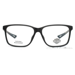 HARLEY DAVIDSON HD0879 002